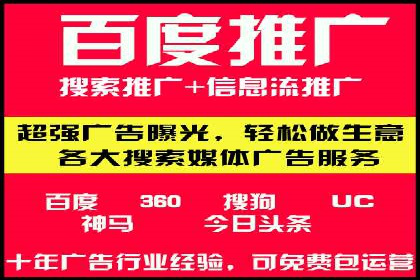 百度竞价与搜索引擎优化（SEO）结合的经典案例